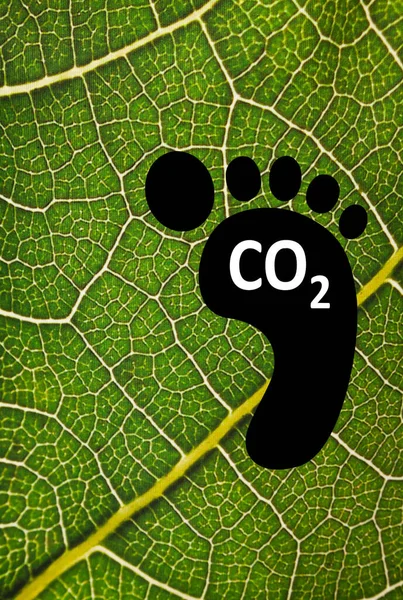 Huella Carbono Desarrollo Sostenible Crisis Climática —  Fotos de Stock