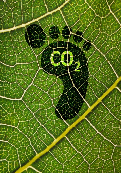 Carbon footprint, sustainable development,climate crisis