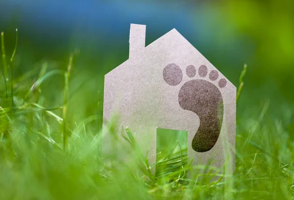 Carbon Footprint Sviluppo Sostenibile Crisi Climatica — Foto Stock