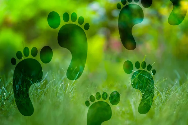 Carbon Footprint Sviluppo Sostenibile Crisi Climatica — Foto Stock