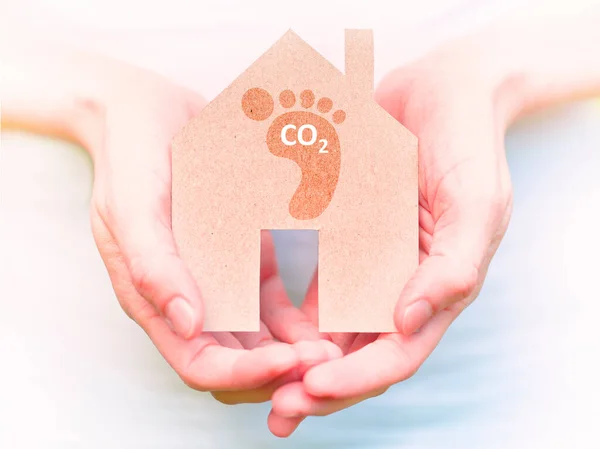 Carbon footprint, sustainable development,climate crisis