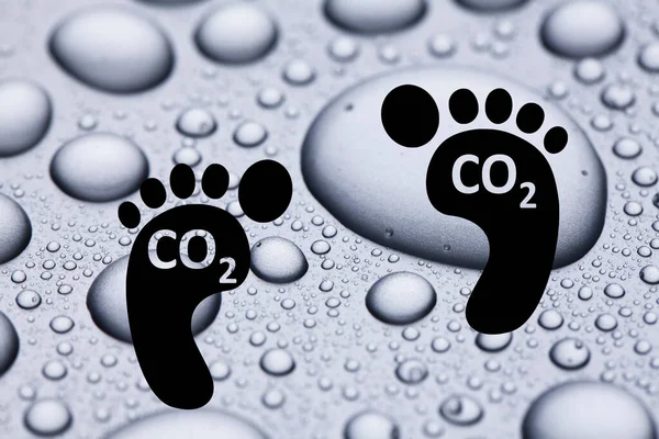 Koolstofvoetafdruk Duurzame Ontwikkeling Klimaatcrisis — Stockfoto