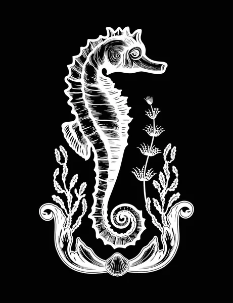 Caballo de mar dibujado a mano con plantas marinas. Ilustración de vector Vintage . — Archivo Imágenes Vectoriales