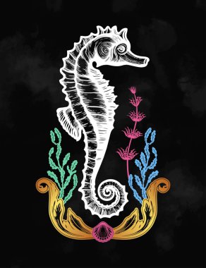 Deniz bitkileri ile el çekilmiş deniz atı. Vintage vektör çizim.