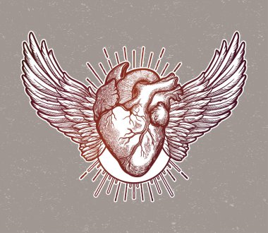 Dekoratif doğal kalp kanatlı.