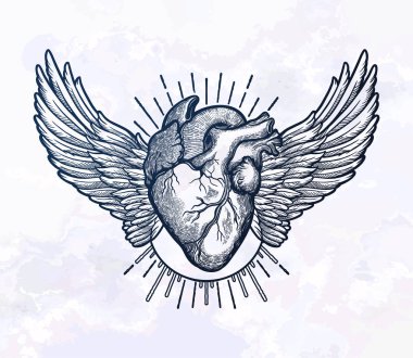 Dekoratif doğal kalp kanatlı.