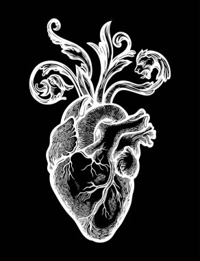 Çiçek ve dikenli bir çerçevedeki doğal kalp. Klasik gotik stil sanattan esinlenmiştir. Vektör illüstrasyonu izole edildi. Dövme tasarımı, kullanım için moda romantizm sembolü.