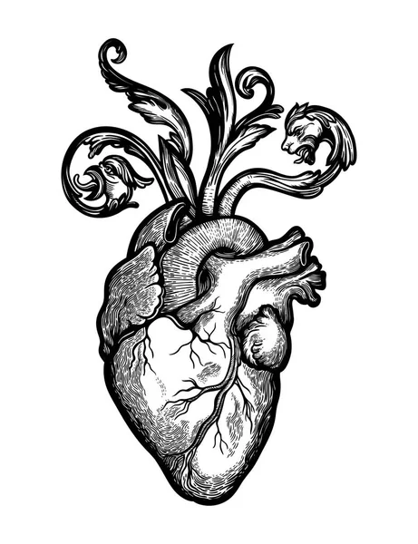 Cuore naturalistico in una cornice di fiori e spine. Stile gotico vintage ispirato arte. Illustrazione vettoriale isolata. Tattoo design, simbolo di romanticismo alla moda per il vostro uso. — Vettoriale Stock