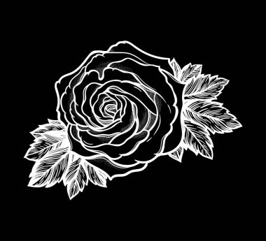 Güzel el çizilmiş gül çiçeği. İzole vintage tarzı, dövme tasarım vektör illüstrasyon.