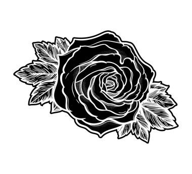 Güzel el çizilmiş gül çiçeği. İzole vintage tarzı, dövme tasarım vektör illüstrasyon.