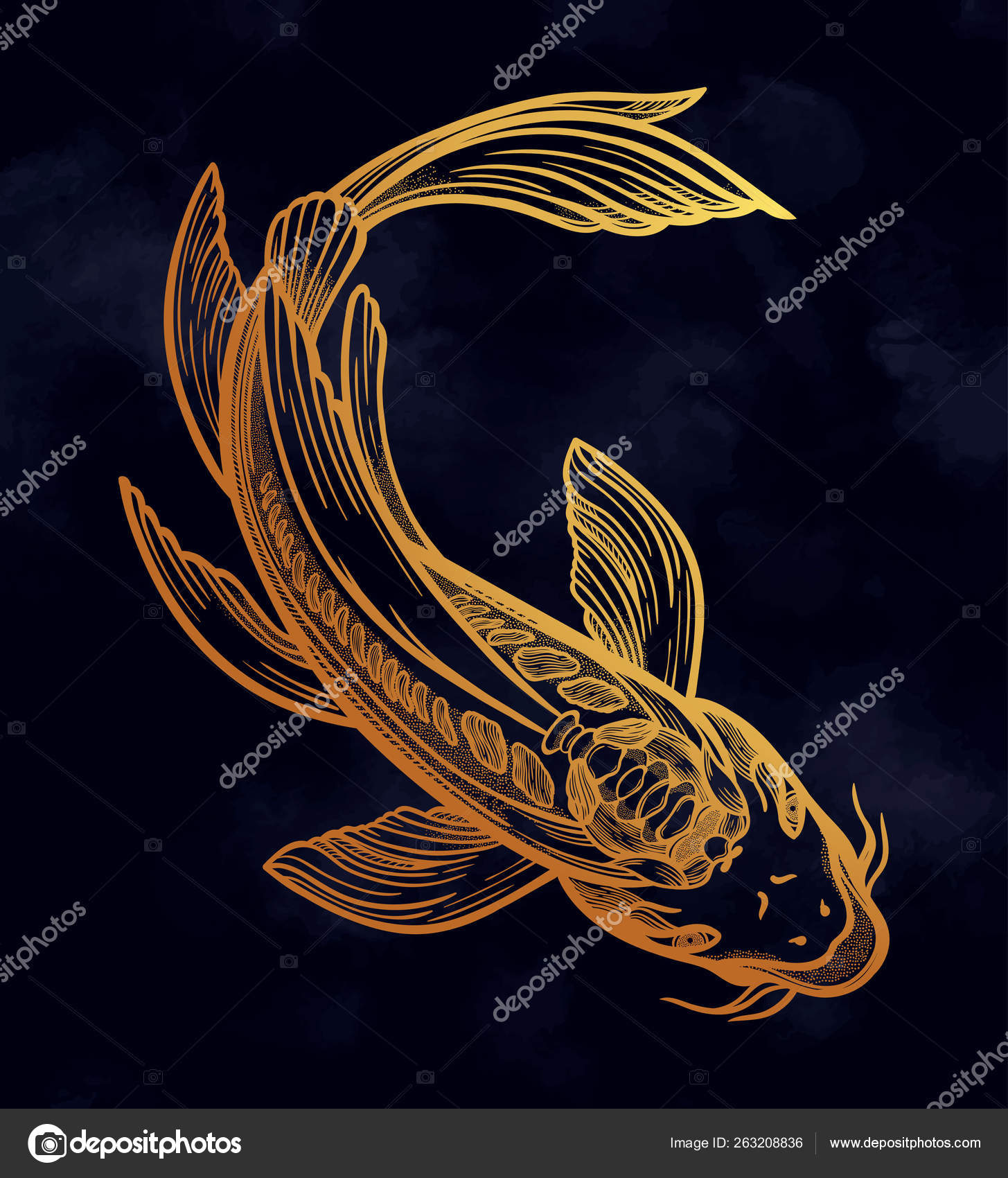 Pesce gatto nebuloso - Fatti, dieta, habitat e immagini su Animalia.bio, image size:1455x1700