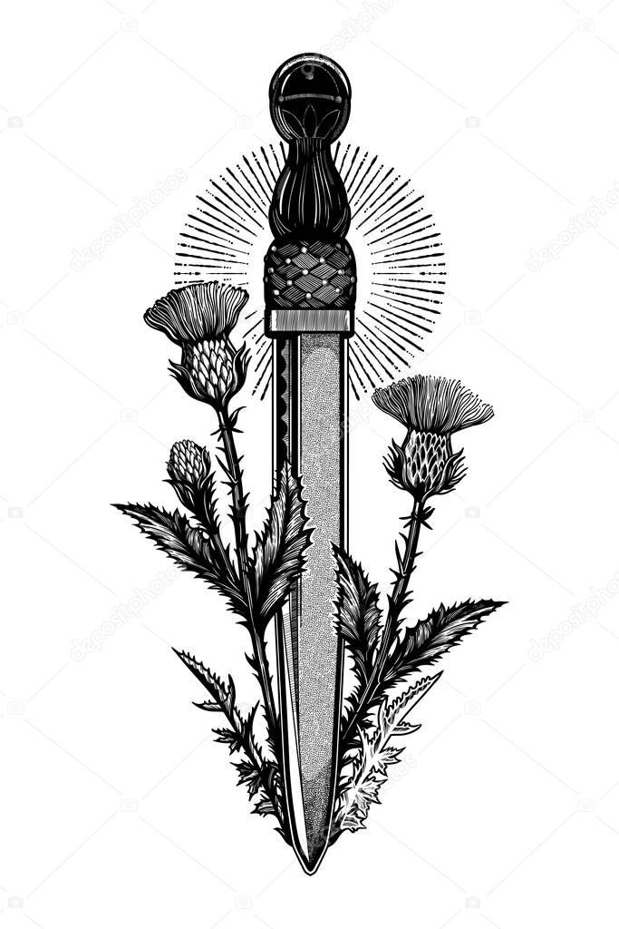 Traditional tattoo flash thistle with scotland dagger - dirk. Romantic flesh art festival poster. Scotland national symbol of honor and courage. Vector illustration isolated.