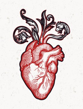 Çiçek ve dikenli bir çerçevedeki doğal kalp. Klasik gotik stil sanattan esinlenmiştir. Vektör illüstrasyonu izole edildi. Dövme tasarımı, kullanım için moda romantizm sembolü.