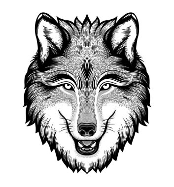 Bir kurdun başı. Rüya gibi sihirli sanat. Gece, doğa, wicca sembolü. Yalıtılmış vektör illüstrasyon. Büyük açık havada, dövme tasarımı.