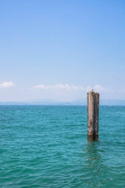 Ufkun önündeki direkte oturan kuşlar Garda İtalya Gölü 'nde.