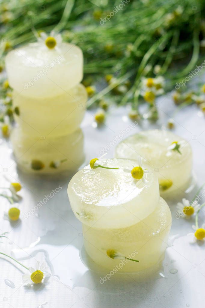 Ice cubes of chamomile tea and chamomile for cosmetic purposes on a background of a bouquet of daisies. Selective focus.