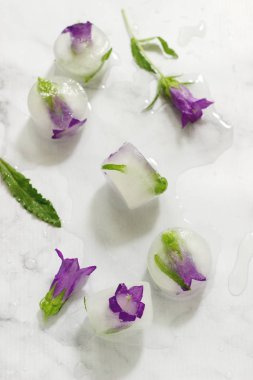 Çiçek ve otlar ışık mermer zemin ile parlak buz küpleri.