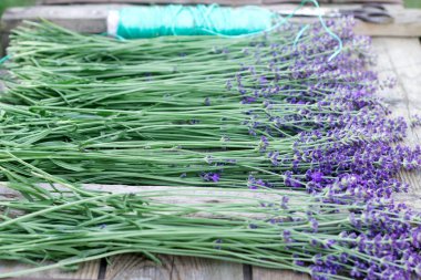 Kurutma için hazırlanmış ahşap bir masa üzerinde taze lavanta demetleri. Rustik tarzı, seçici odak.
