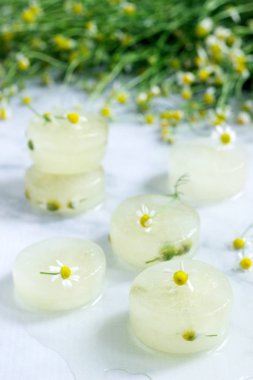 Papatya çayı ve papatya papatyalar bir buket bir arka plan üzerinde Kozmetik amaçlı buz küpleri. Seçici odak.