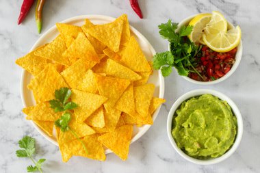 Geleneksel Meksika çerez cips Guakamole, pico de gallo veya salsa sos ile servis. Seçici odak.