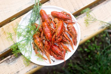 Baharat ve dereotu ile haşlanmış taze kerevit yuvarlak bir tabak üzerinde servis. Seçici odak.