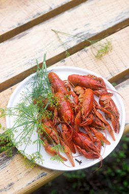Baharat ve dereotu ile haşlanmış taze kerevit yuvarlak bir tabak üzerinde servis. Seçici odak.
