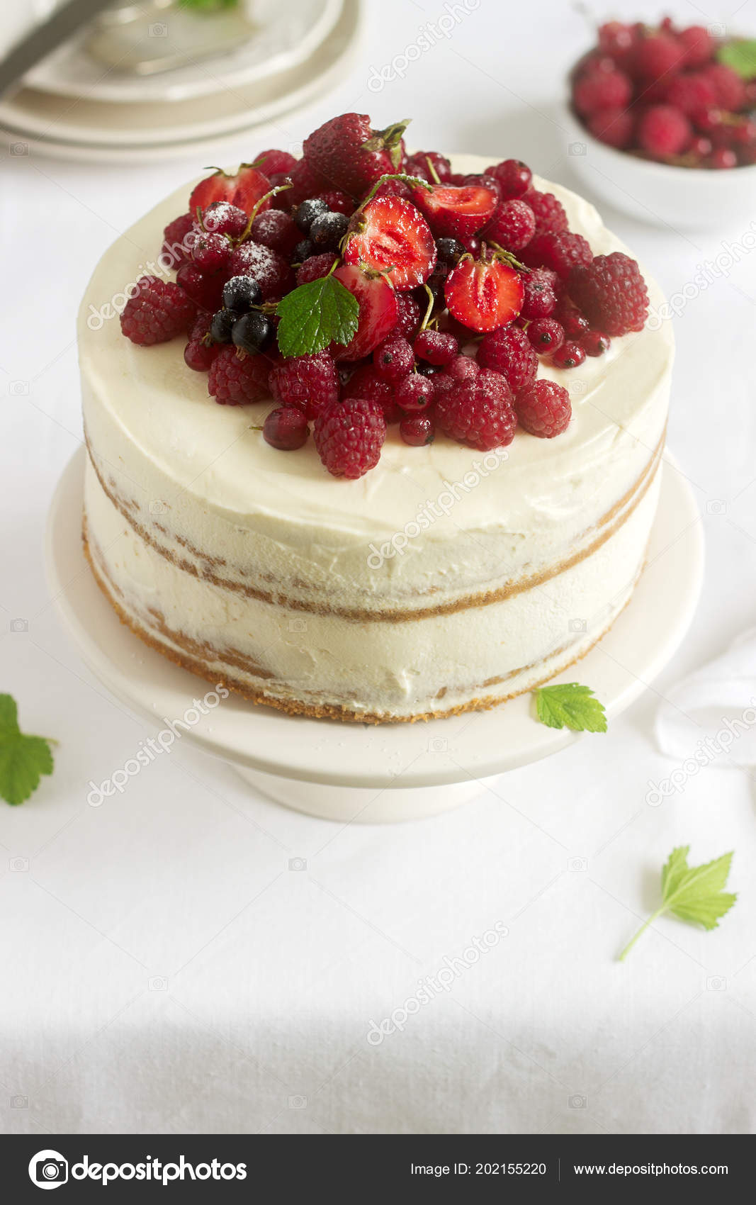 Summer Home Biscuit Cake Curd Cream Decorated Fresh Berries