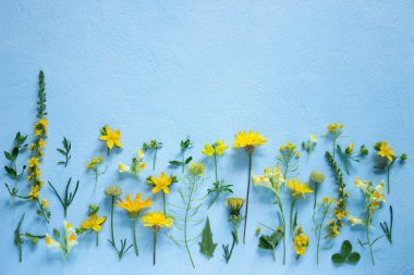 Açık mavi arka planı olarak çeşitli kır çiçekleri kompozisyon. Seçici odak.
