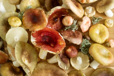 Mushrooms of various types, shapes and colors on a wooden surface. Selective focus. clipart