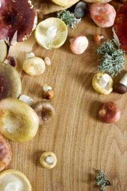 Mantar çeşitli türleri, şekil ve bir ahşap yüzey renkleri. Seçici odak.