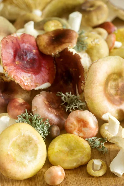 Mantar çeşitli türleri, şekil ve bir ahşap yüzey renkleri. Seçici odak.