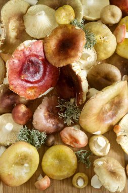 Mantar çeşitli türleri, şekil ve bir ahşap yüzey renkleri. Seçici odak.