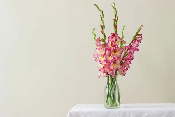 Buquê Gladioli Multicoloridos Vaso Vidro Fundo Claro Cartão Saudação Foco — Fotografia de Stock