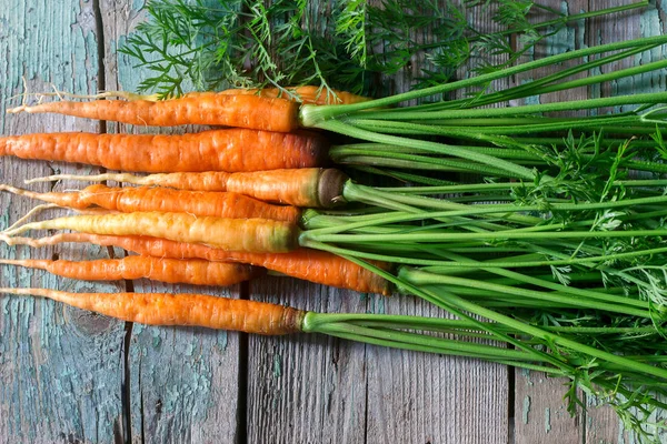 Fresh ripe carrots with tops on a wooden table. Selective focus.