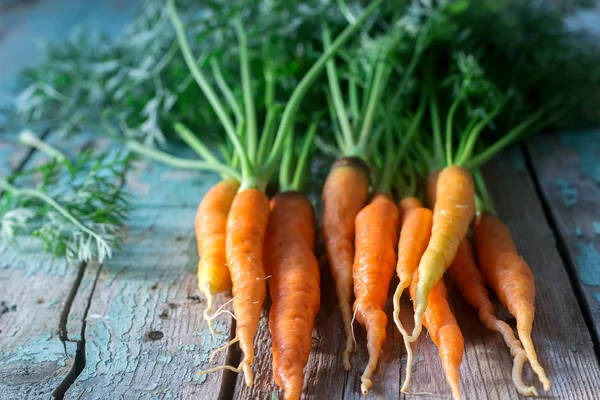 Fresh ripe carrots with tops on a wooden table. Selective focus.