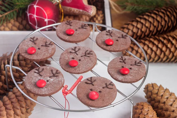 Chocolate festive cookies in the form of a deer Rudolph with a red nose surrounded by festive decor. — Stock Photo, Image