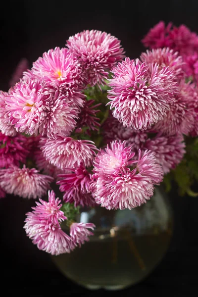 Autumn bouquet of lilac chrysanthemums on a dark background. — Stock Photo, Image