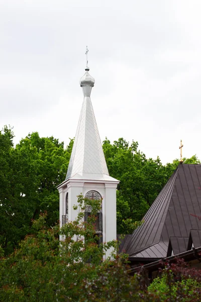 Ortodoks kilisesi, Moldova 'nın kuzeyindeki bir manastırda orman ve gökyüzünün arka planına karşı..