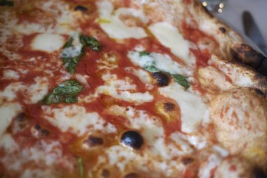 Mozzarella peyniri ve domatesli pizza