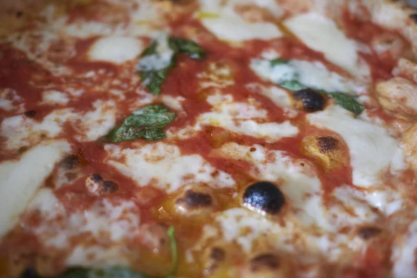 Pizza Med Mozzarellaost Och Tomat — Stockfoto