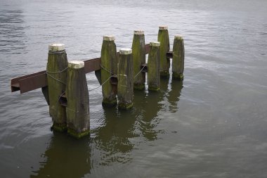 Amsterdam, Hollanda - 16 Mayıs 2018: Amstedam Noord'da Ijplein feribot durağı