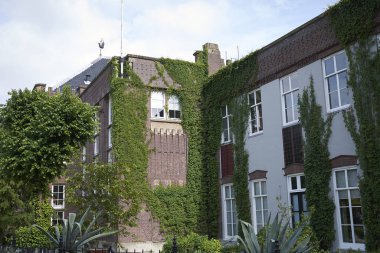 Amsterdam, Hollanda - 17 Mayıs 2018: Amsterdam Botanik Bahçesi Manzarası