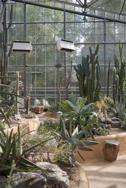 Amsterdam, Hollanda - 16 Mayıs 2018: Amsterdam Botanik Bahçesi Manzarası