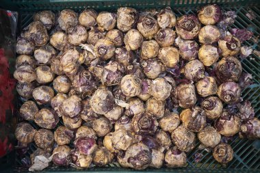 Amsterdam, Hollanda - 22 Şubat 2019: Sümbül soğanları