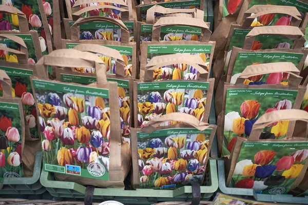 Amsterdam Hollandia Február 2019 Tulipánok Izzók Értékesítése Piacon — Stock Fotó