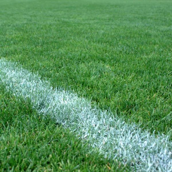 Adelaide Crown Stadyumu