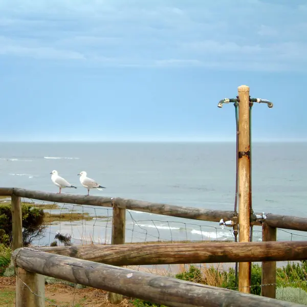 Vista de las tablas de surf en la playa de Torquay —  Fotos de Stock