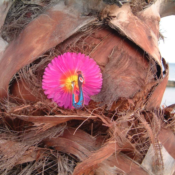 Bir Palmiye Ağacı Üzerinde Kuş Dekorasyonu — Stok fotoğraf