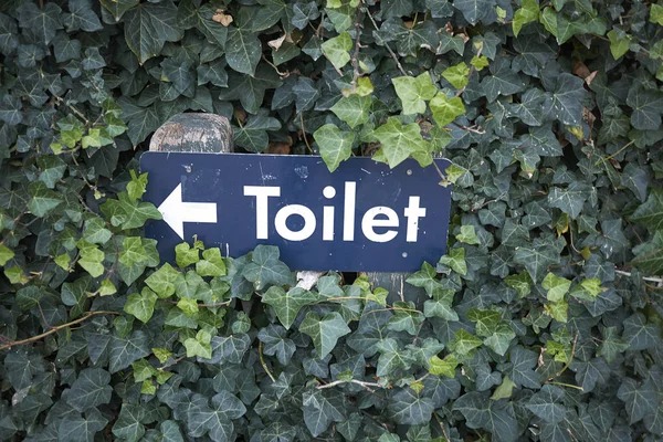 哥本哈根 2018年10月09日 厕所标志由常春藤覆盖 — 图库照片