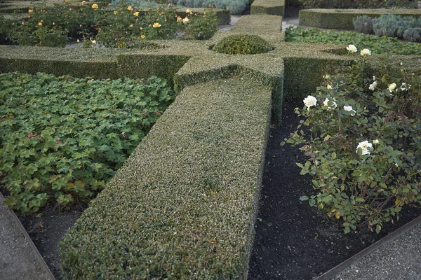 Kodaň Dánsko Říjen 2018 Pohled Růžovou Zahradu — Stock fotografie